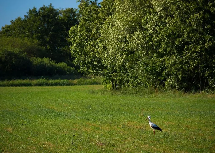 Goscinny Дом отдыха *