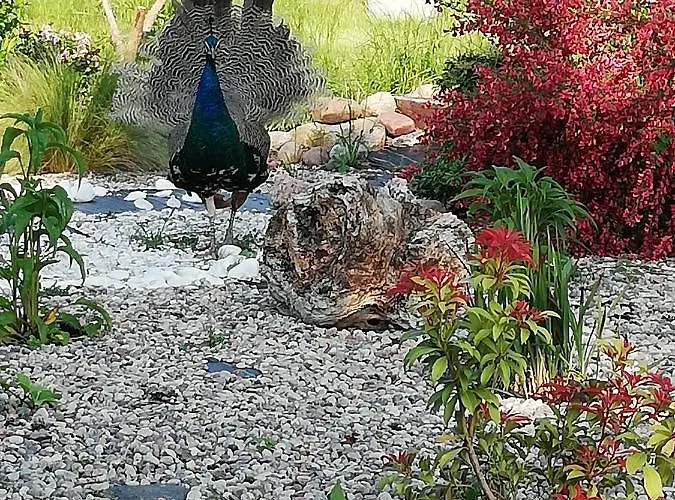 Дом отдыха Goscinny Дарлово